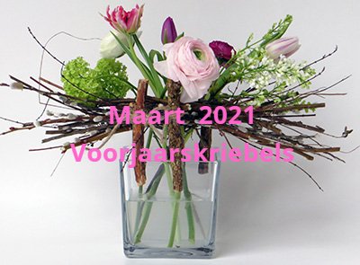 bloemschikken workshop voorjaar lente Gistel Oostende Brugge Sijsele Ardooie Roeselare