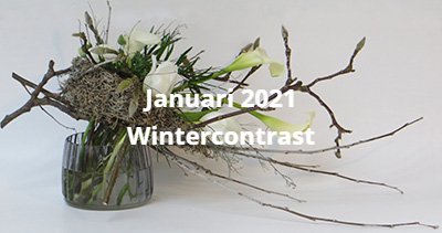 bloemschikken workshop winter rozen calla's Gistel Oostende Brugge Sijsele Ardooie Roeselare